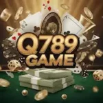Q789 Game