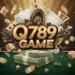 Q789 Game